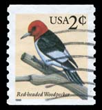 2c Red-headed Woodpecker (15k)