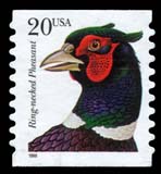 20c Pheasant (15k)