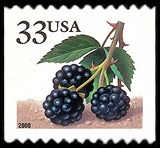 33c Berries (15k)